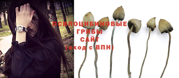 прущие крисы Алексин